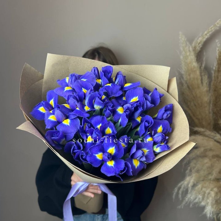 Ирисы в Белгороде