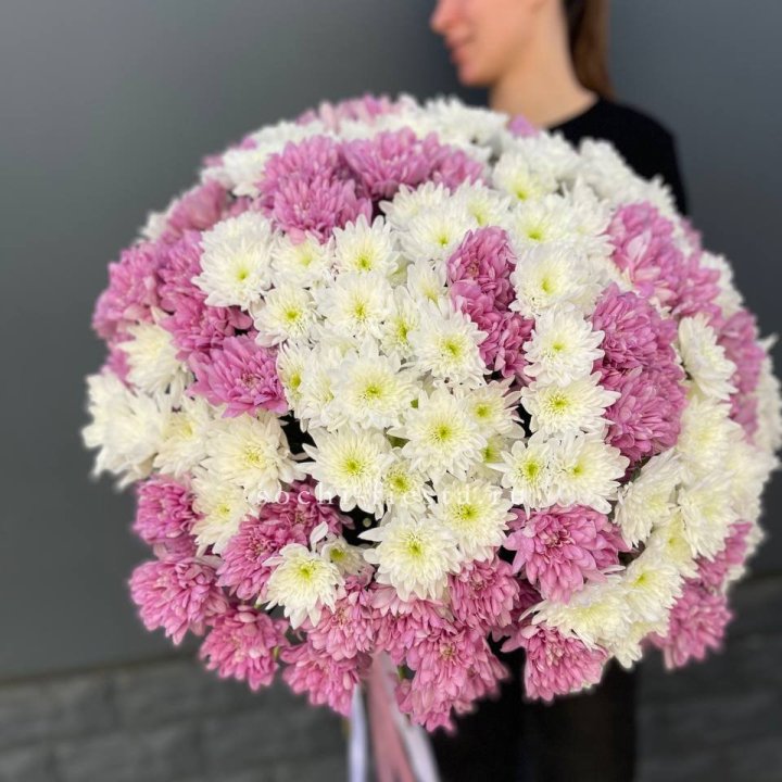  Букет 25 хризантем микс в Белгороде