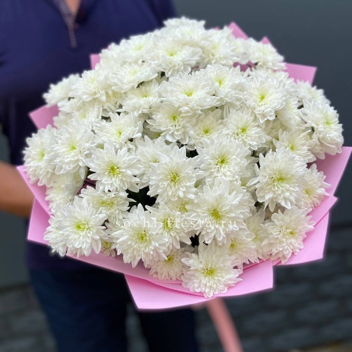  Букет 15 хризантем  в Белгороде