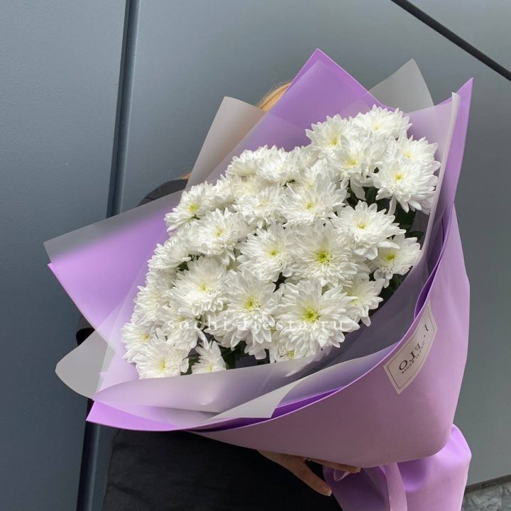  7 хризантем  в Белгороде