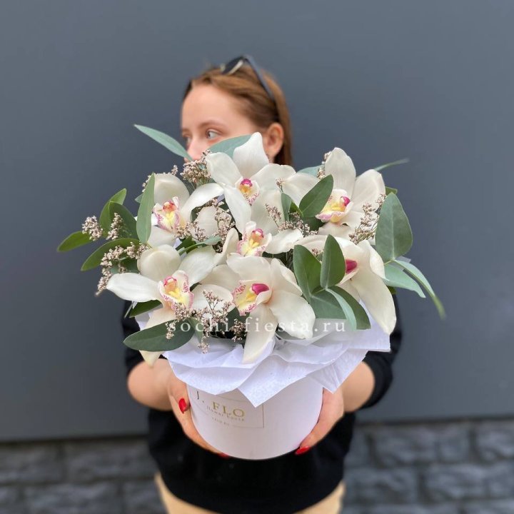 7 орхидей в боксе в Белгороде