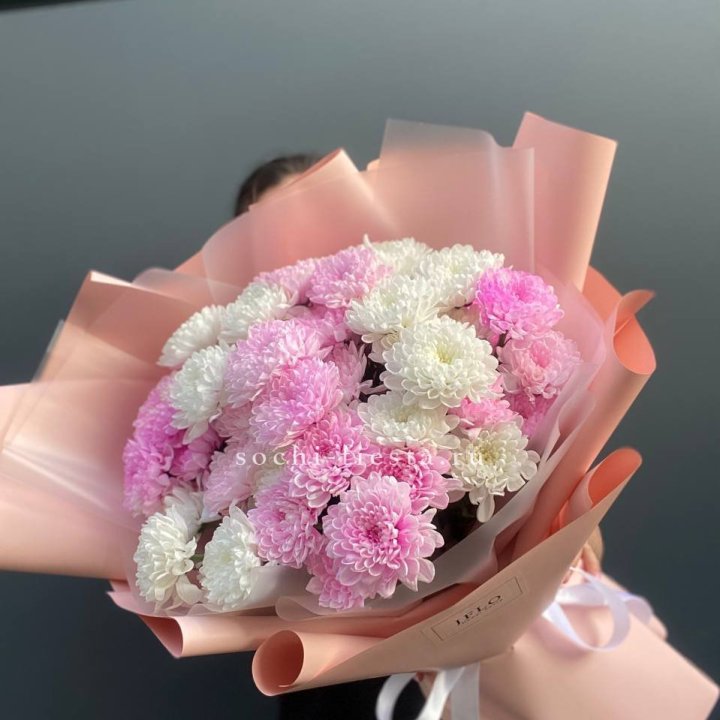 Букет бело-розовых хризантем  в Белгороде