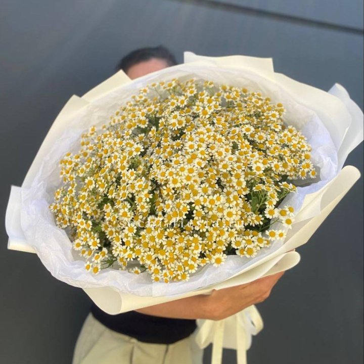 Букет ромашек №2 в Белгороде
