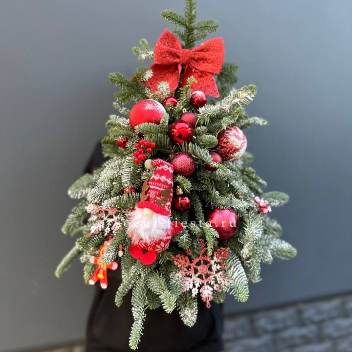 Новогодняя елочка "Ред" в Белгороде