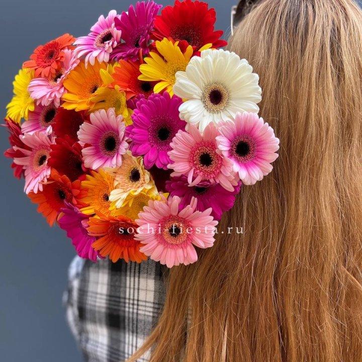 Охапка гербер  в Белгороде