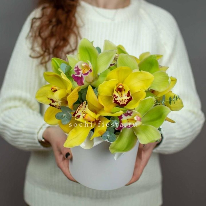 Бокс с орхидей №1 в Белгороде