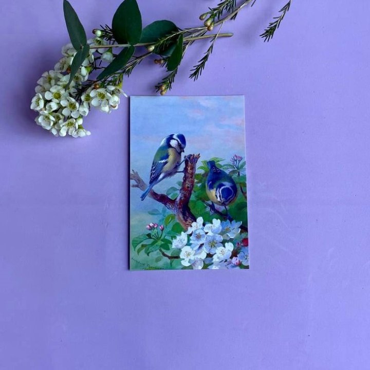 Открытка к букету "Птицы" в Белгороде