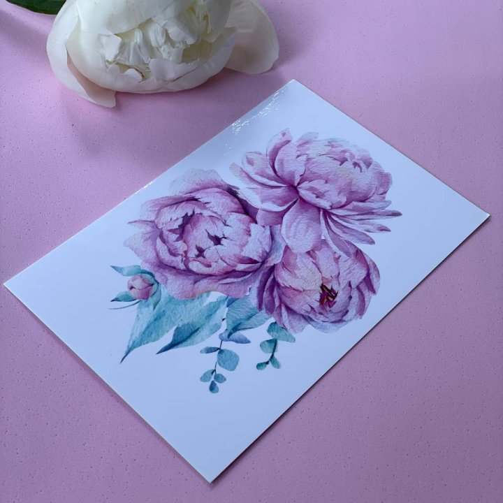 Открытка к букету "Пионы" в Белгороде