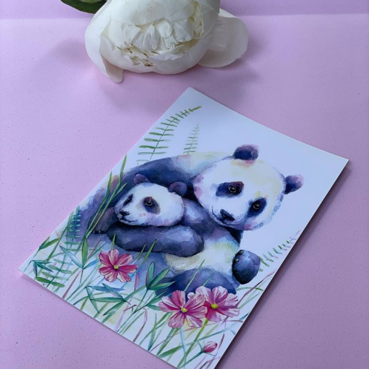 Открытка к букету "Объятие Панды" в Белгороде