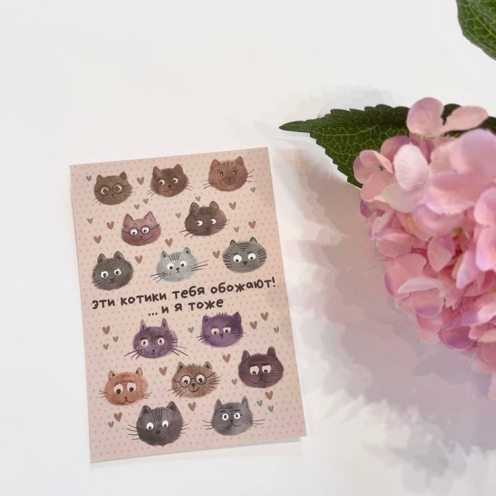 Открытка к букету "Котики" в Белгороде