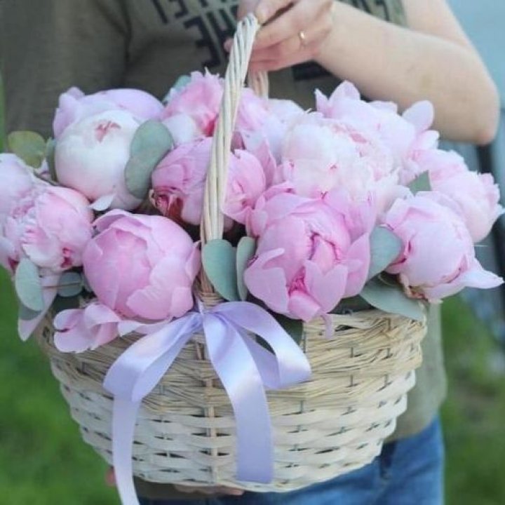 15 пионов в корзине в Белгороде