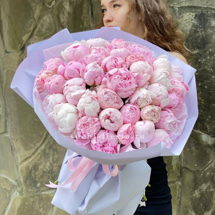 39 нежных пионов в Белгороде