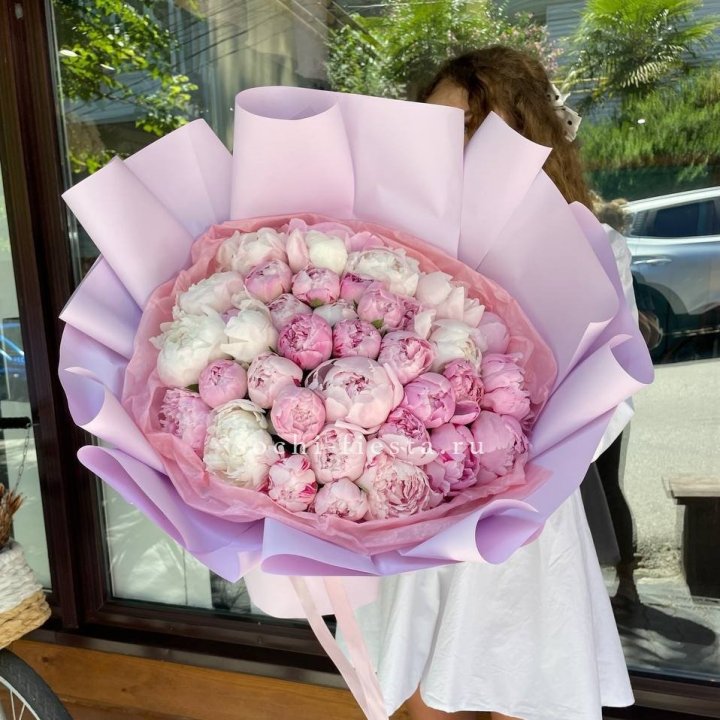51 розовый пион в Белгороде