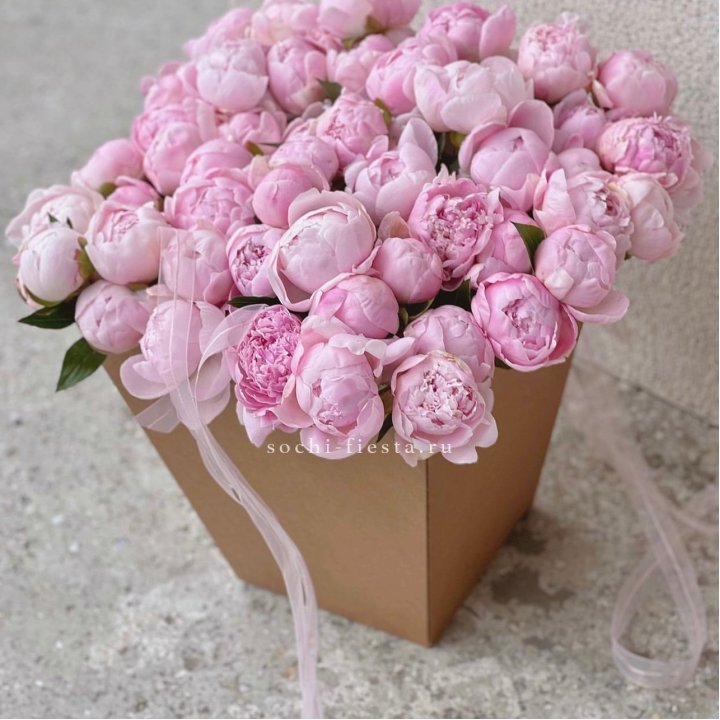 49 пионов в крафт коробке в Белгороде