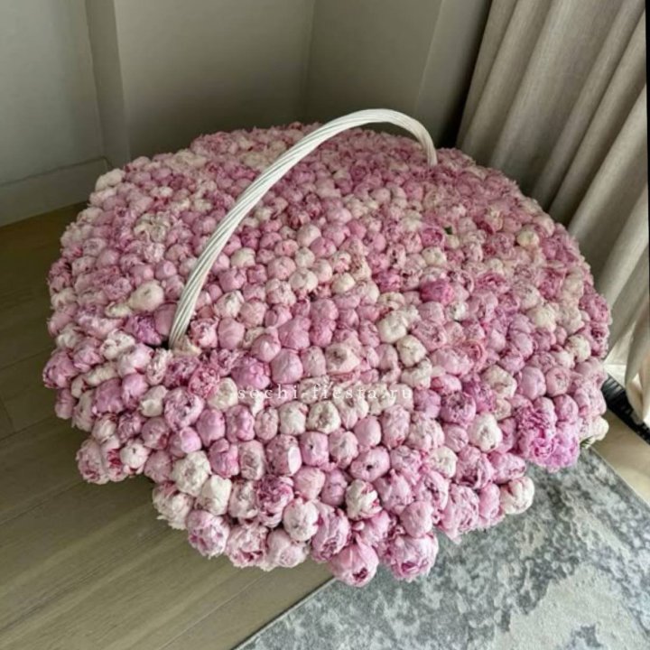 Корзина 555 пионов в Белгороде