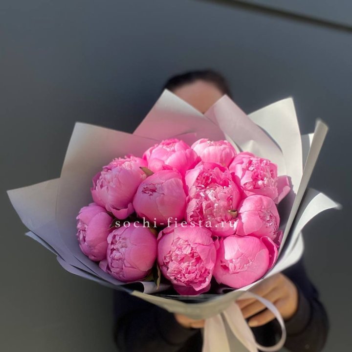 Пионы Алекс флеминг в Белгороде