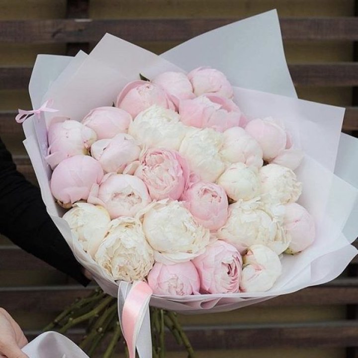 29 пионов в Белгороде