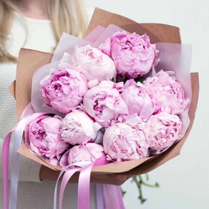 11 нежных пионов в Белгороде