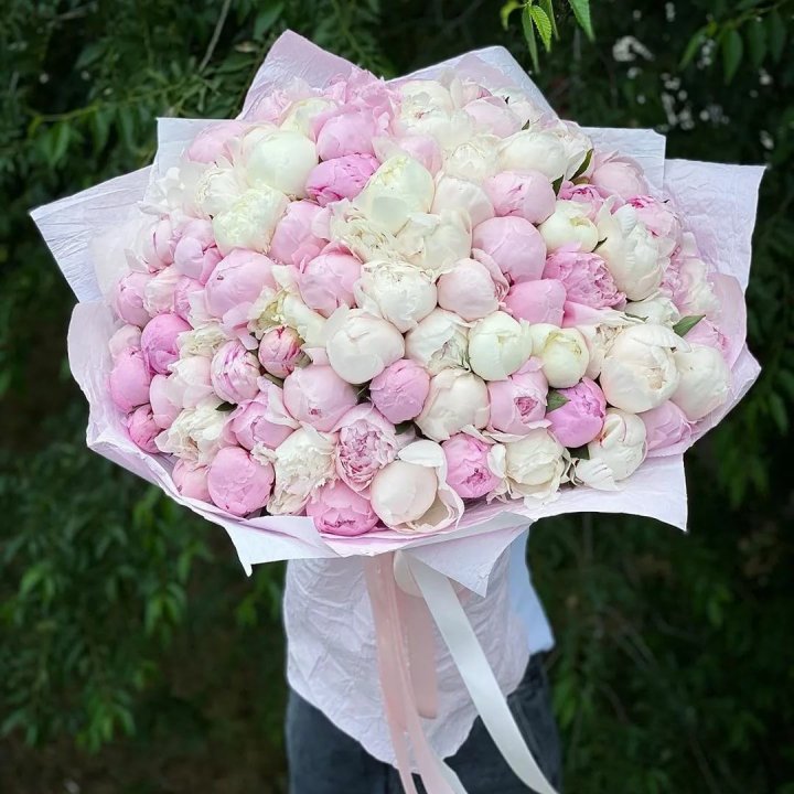 101 пион в Белгороде