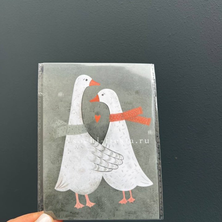 Открытка к букету "Гуси” в Белгороде