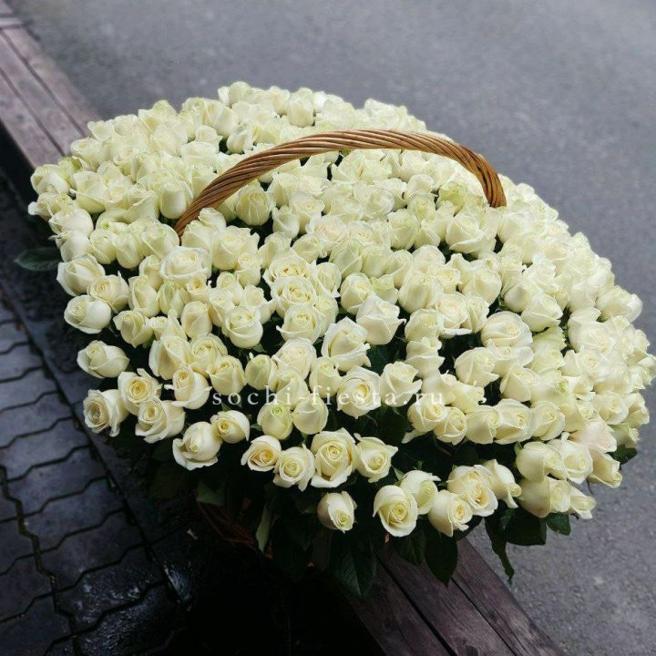 303 розы в корзине в Белгороде