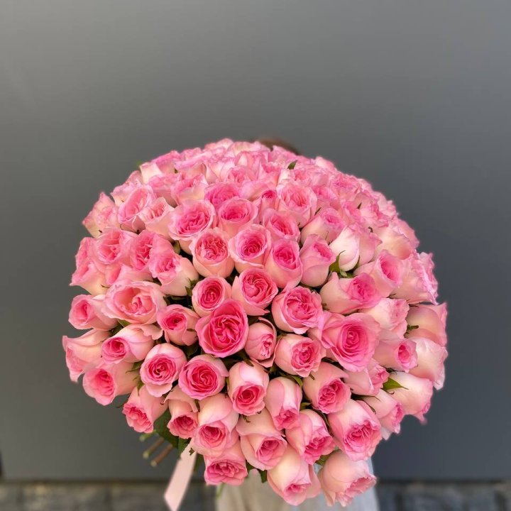 101 розовая роза в Белгороде