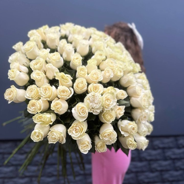 101 белая высокая импортная роза под ленту в Белгороде