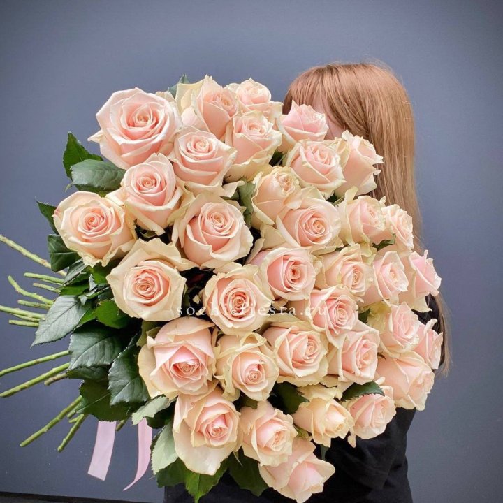 35 кремовых высоких роз в Белгороде