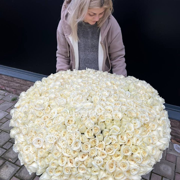 501 белая роза в корзине в Белгороде