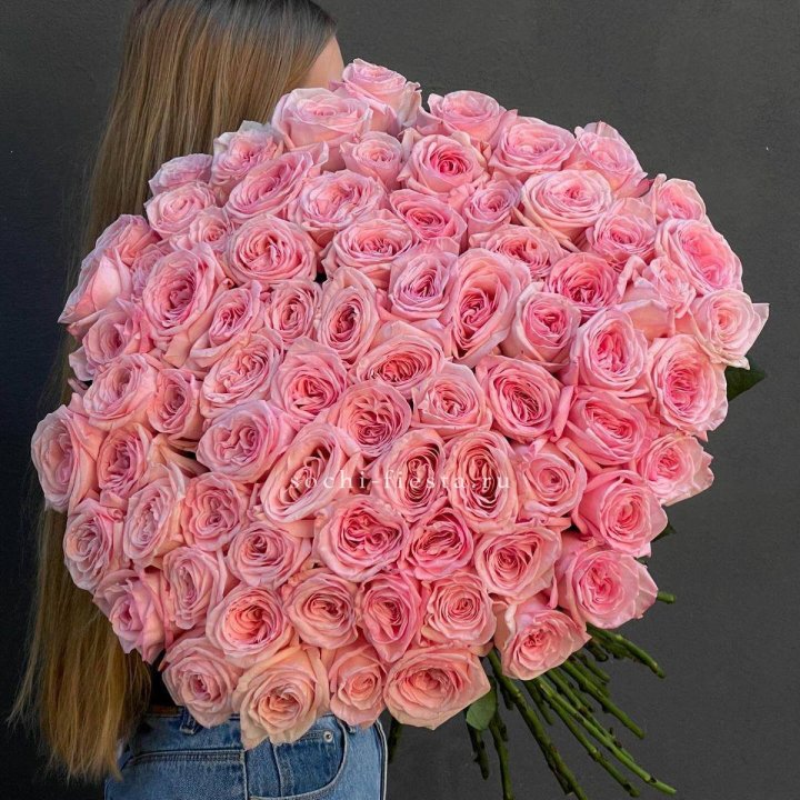 75 роз Охара в Белгороде