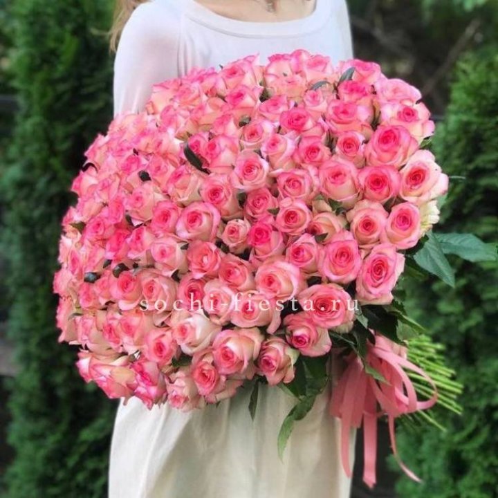 101  джумилия роза  в Белгороде