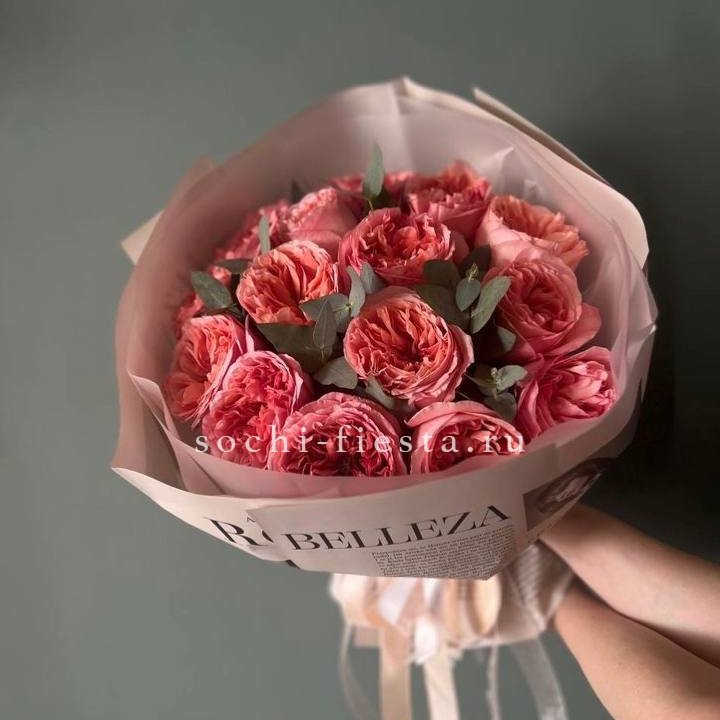 15 Пинк экспрешен в Белгороде