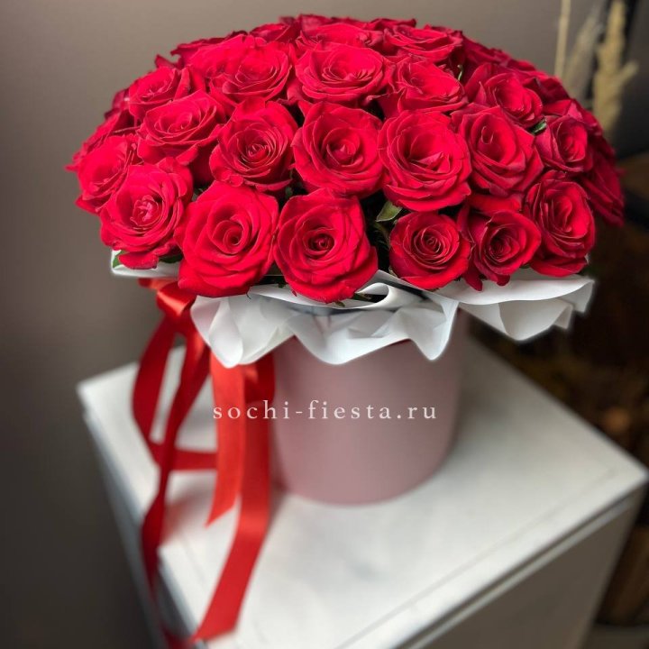 Красные розы 51шт  в коробке в Белгороде