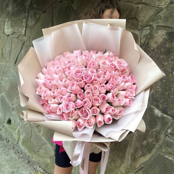 101 нежно-розовая роза Каролина  в Белгороде