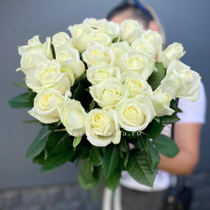 Голландские розы белые 25 в Белгороде