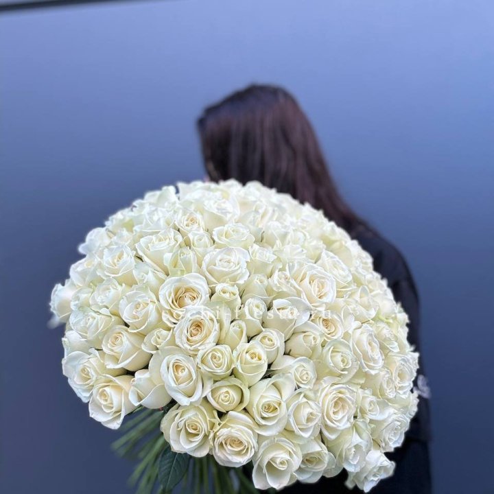 Охапка из 101 белой розы  в Белгороде