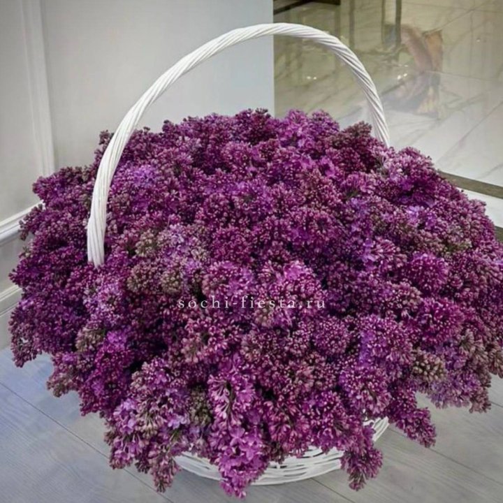 Корзина сирени в Белгороде