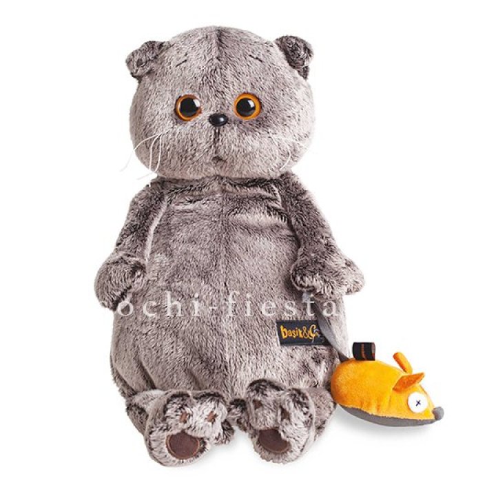 Кот Басик с мышкой в Белгороде