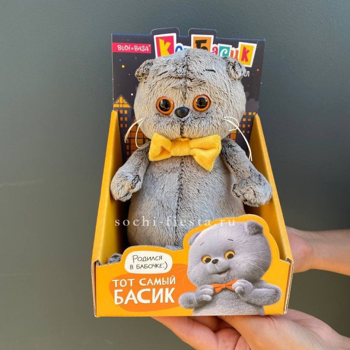 Кот Басик с бабочкой в Белгороде