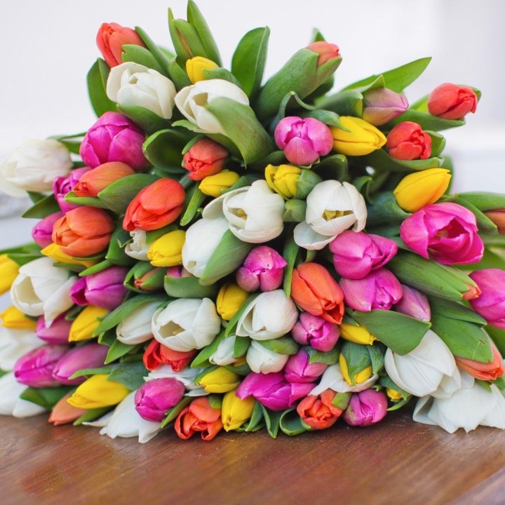 79 тюльпанов "Рандом" в Белгороде