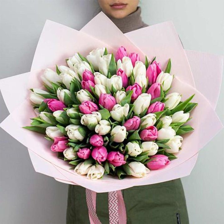 61 бело-розовый тюльпан в Белгороде