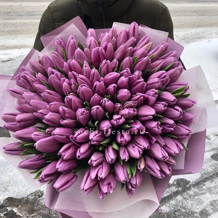 101 сиреневый тюльпан в Белгороде