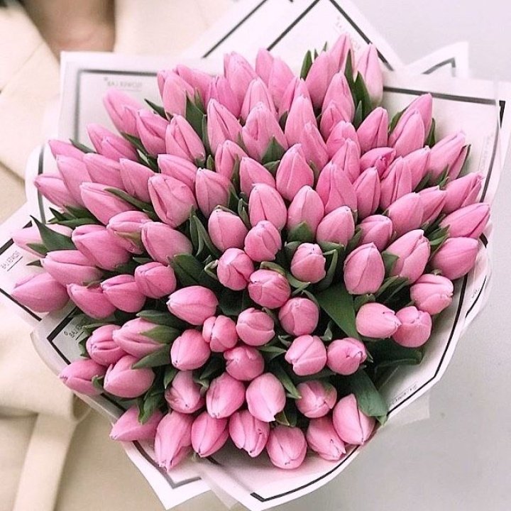 101 розовый тюльпан в белом в Белгороде