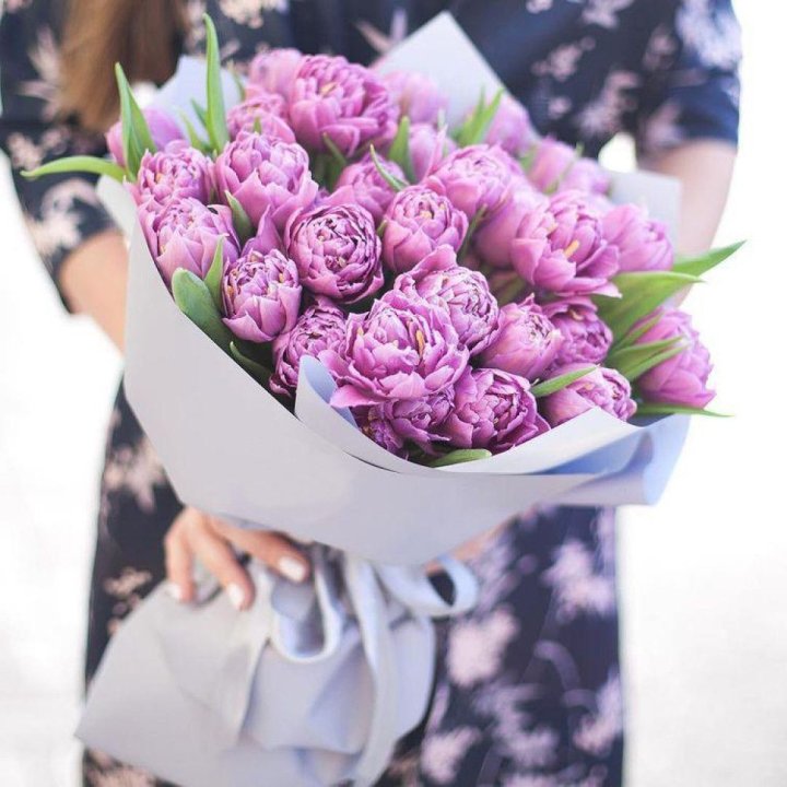 Тюльпаны "Пионс" в Белгороде