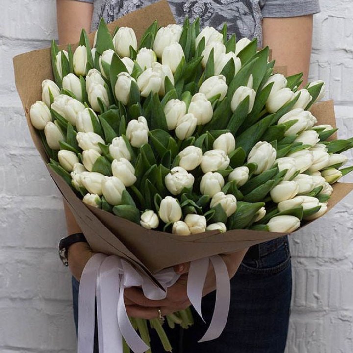 101 тюльпан сноу в Белгороде