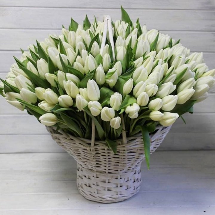Корзина из 151 тюльпана в Белгороде