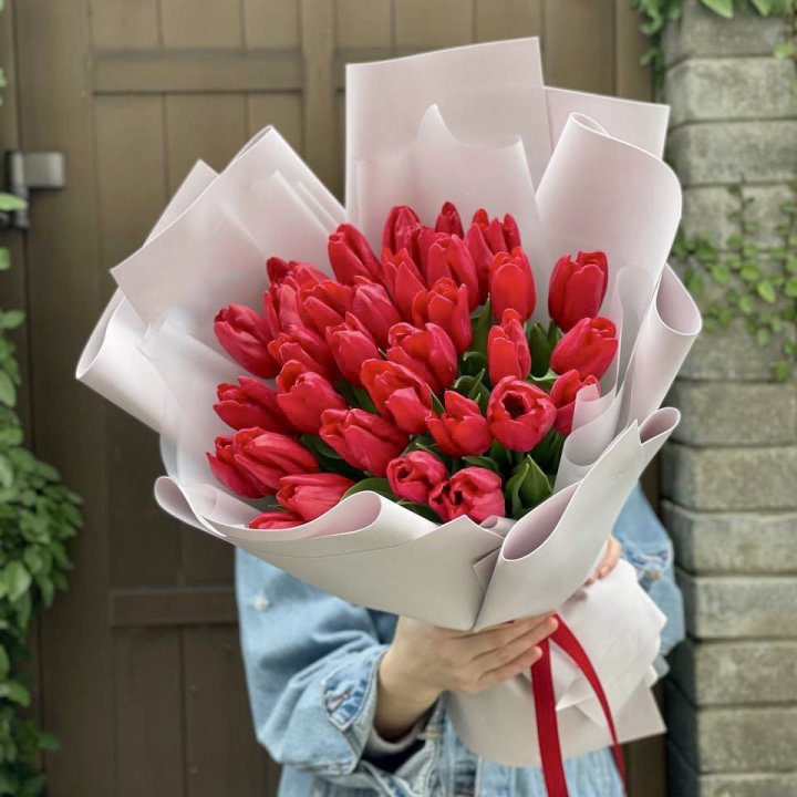 35 красных тюльпанов в Белгороде