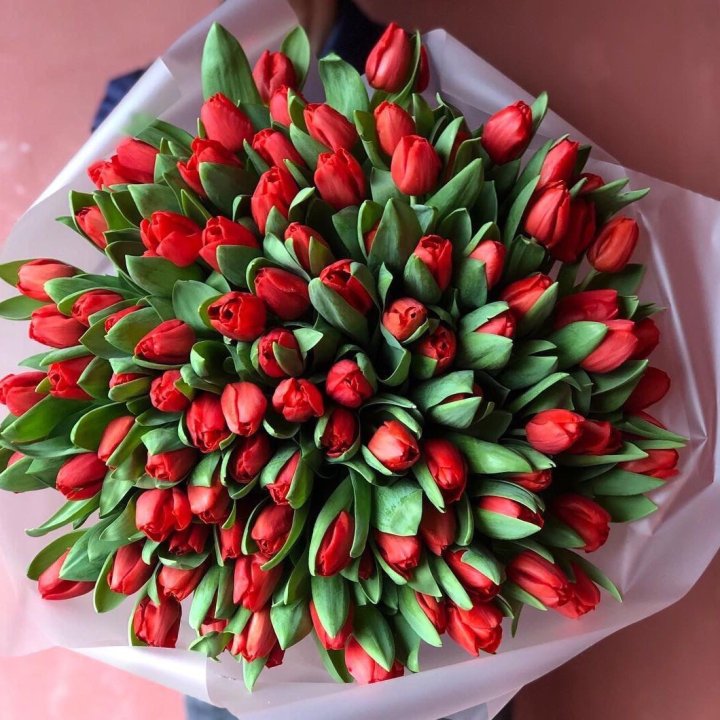 101 красный тюльпан в Белгороде